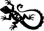 Аватар для Salamandra