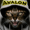   Avalon